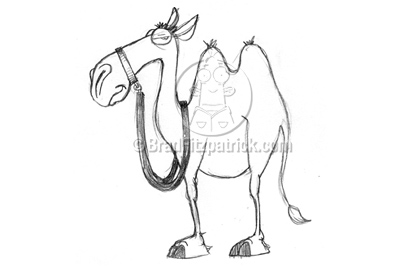 Drawing Camel