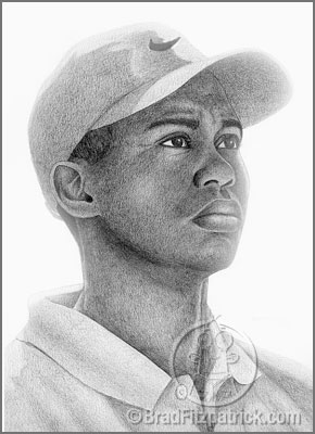 tiger woods drawing